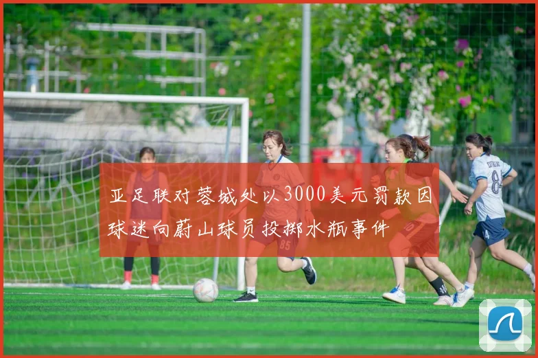 亚足联对蓉城处以3000美元罚款因球迷向蔚山球员投掷水瓶事件