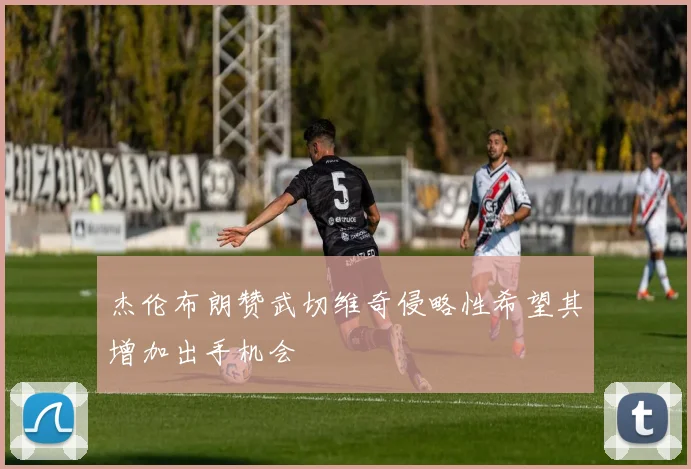 杰伦布朗赞武切维奇侵略性希望其增加出手机会