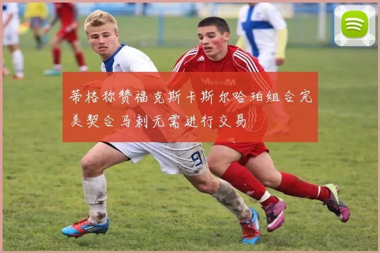蒂格称赞福克斯卡斯尔哈珀组合完美契合马刺无需进行交易